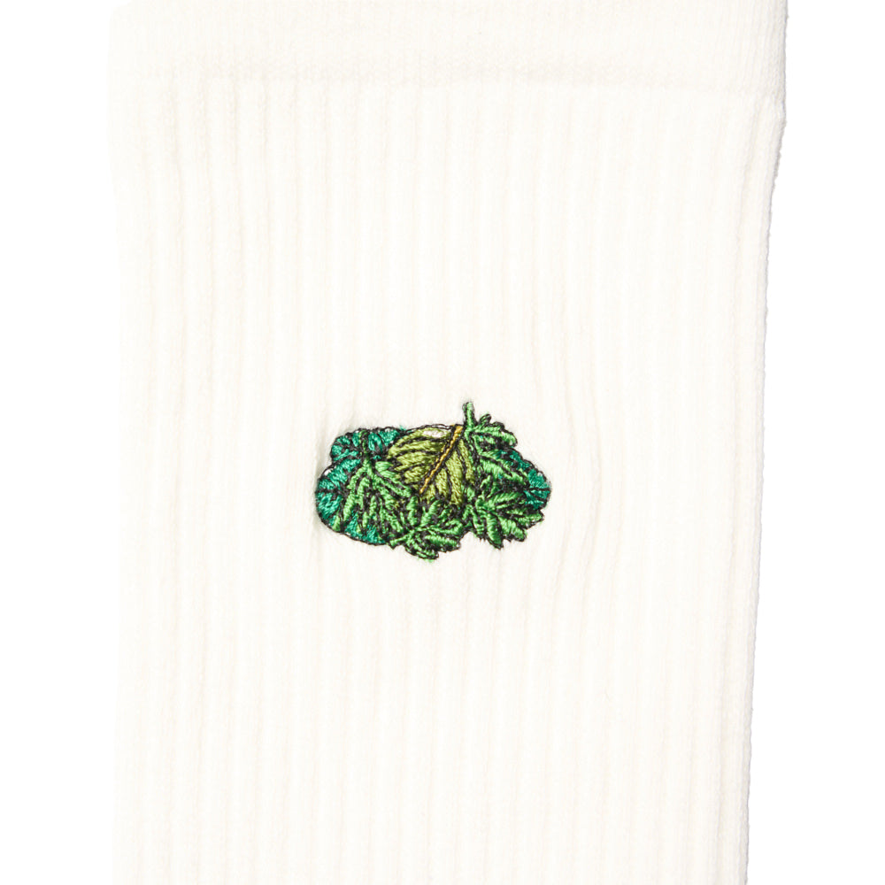 ” HERBAL IN THE YARN” SOCKS
